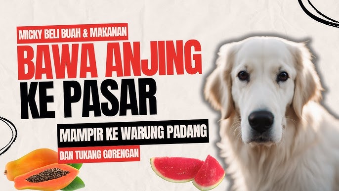 Anjing Pintar Mengantar Belanjaan di Pasar Viral di TikTok